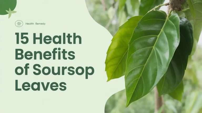 15 Health Benefits of Soursop Leaves - Feature Image